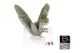Museum quality Prasem green quartz cluster #6