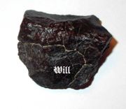 New! Will Stone