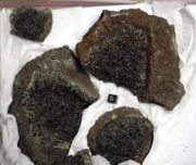 Olivine - Peridote View a list: