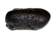 philippinit bag of 60gram
