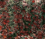 pyrope in eclogite & Cr-Diopsid pyrope in eclogite & Cr-Diopsid