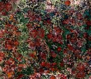 pyrope in eclogite & Cr-Diopsid
