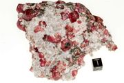 Raspberry garnet  01a