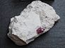 red beryl - Bixbite - red emerald red beryl - Bixbite - red emerald