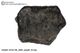Chondrite fresh fully crusted, SaU001 20.44g Chondrite fresh fully crusted, SaU001 20.44g