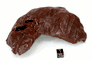 Sikhote Alin Shrapnel 1374g