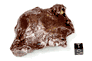 Sikhote Alin Shrapnel 542g