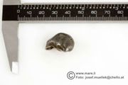 Sikhote Alin, Shrapnel or  Individual, Bag of 1Lb (445gram)