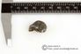 Sikhote Alin, Shrapnel or  Individual, Bag of 1Lb (445gram)