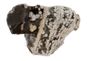 snowflake-obsidian-rough fr. $1/pce snowflake-obsidian-rough fr. $1/pce