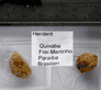 Sold: Herderite perfect X Sold: Herderite perfect X