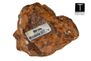 SOLD: Iron Meteorite, Odessa, 377.3g