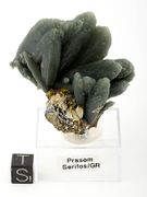 top museum grade Prasem cluster