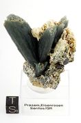top museum grade Prasem cluster #59