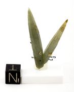 SOLD! top museum grade Prasem cluster