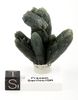 SOLD! top museum grade Prasem cluster SOLD! top museum grade Prasem cluster