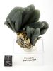 top museum grade Prasem cluster top museum grade Prasem cluster