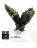 top museum grade Prasem cluster #44 top museum grade Prasem cluster #44