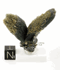 top museum grade Prasem cluster #44 top museum grade Prasem cluster #44