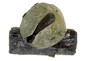 translucent ball of Prehnite on Epidote