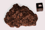View big list of available lunar meteorites