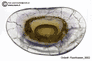 View list of carved fluorite cups (Fluoritschalen) offers