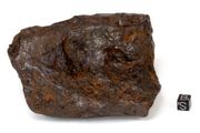 View list of iron meteorites from Toulca Mexico in all sizes