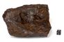 View list of iron meteorites from Toulca Mexico in all sizes