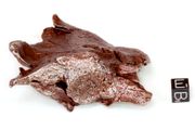 View list of large Sikhote Alin iron meteorite offers