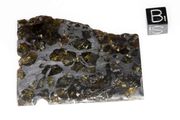 View list of Seymchan iron-pallasite