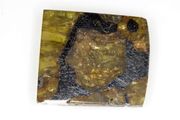 View our list of other pallasites