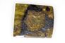 View our list of other pallasites