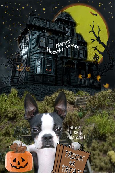 Last house on the left