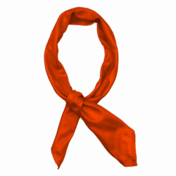 Fixing Color Bleeding Issues with Your Silk Bandana