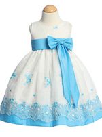 Aqua Embroidered Organza Dress