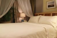 Certified Organic Cotton Bedding