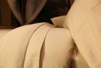 Organic 100% Cotton Bedding Set - Twin