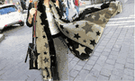 Star Chiffon scarf