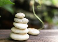 Healthy  Living  Products