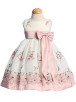 Rose Embroidered Organza Dress