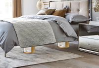 Tesla BioHealing MedBed Generators | Recharge and Repair Your Cellular Health with Life Force Energy