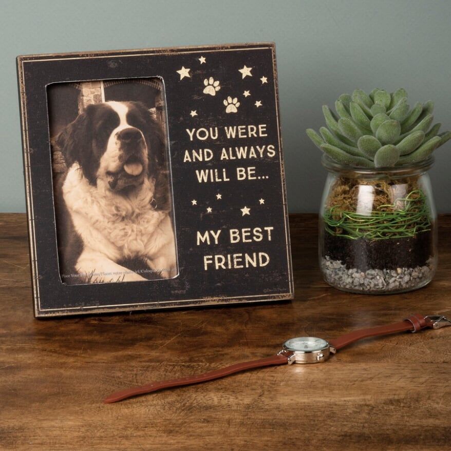 Pet Memorial Frame My Best Friend