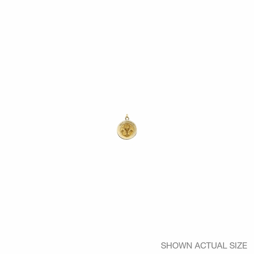 3/8 Inch 14KT Gold Round First Communion Medal