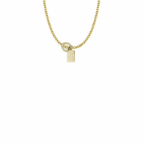 9/16 Inch 18KT Gold Plated Over Sterling Silver Mustard Seed Passage Plate and Heart Necklace