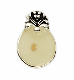 Silver Plated Round Pin with Mustard Seed