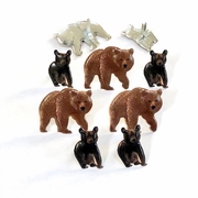 Bear Brads