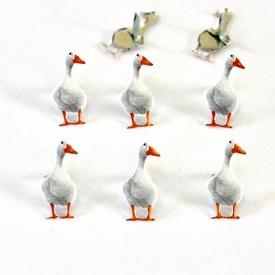  Duck Brads 