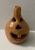 Carved Gourd     <br />AMJ003