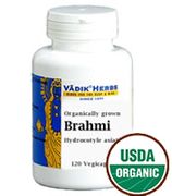 Vadik Herbs Brahmi ( Bacopa Monnieri ) Wildcrafted, 450mg/capsule - 100 Vegicaps Capsules