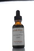 Eucalyptus Leaf Tincture - 8oz